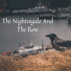 The Nightingale And The Rose love story