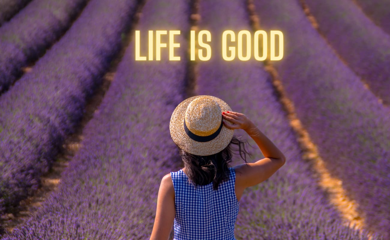 Life is good story