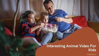 animal videos for kids