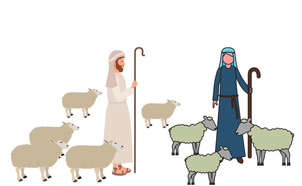 The Shepherds' News