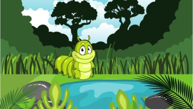 caterpillar story