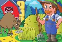 farmer and the bull